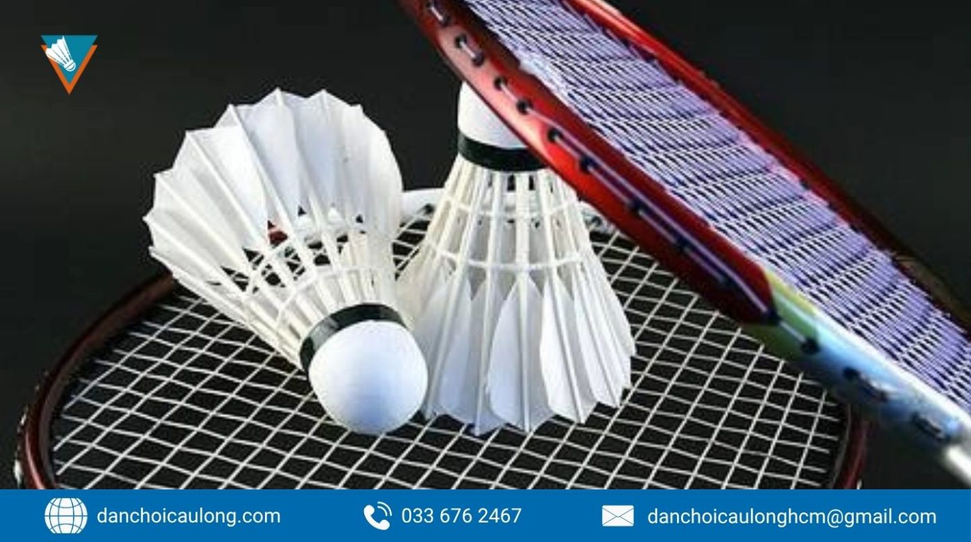 Cách Lựa Chọn Vợt Cầu Lông Cũ - Kinh Nghiệm Từ A Đến Z