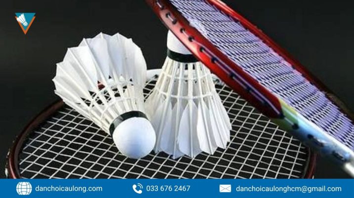 Cách Lựa Chọn Vợt Cầu Lông Cũ - Kinh Nghiệm Từ A Đến Z