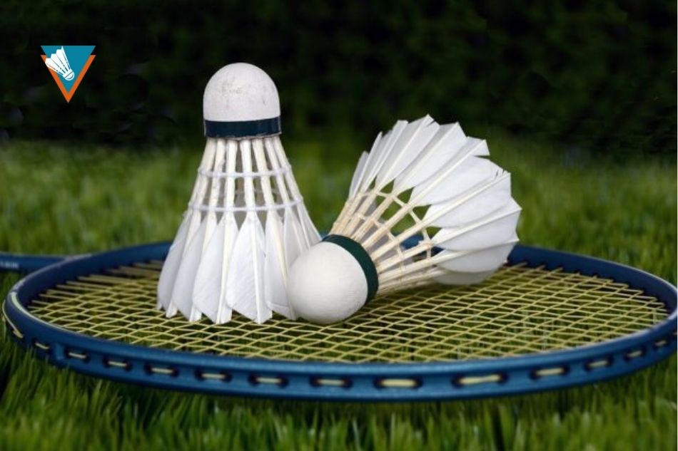 Quả Cầu Lông – Yếu Tố Ảnh Hưởng Đến Tốc Độ Và Độ Bền
