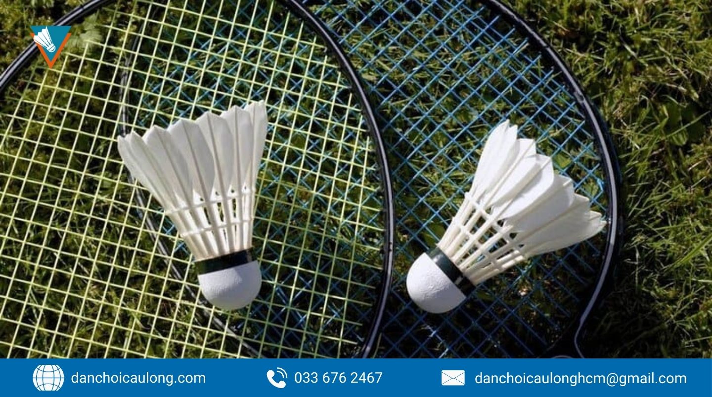 Vợt Cầu Lông 4U Là Gì Kiến Thức & Mẹo Chọn Chuẩn
